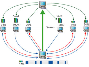   BitTorrent.   umkc.edu