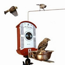 Bird Photo Booth    