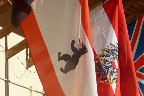 Флаги с логотипами