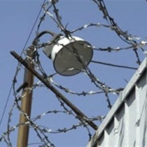 Уровень подростковой преступности снижается благодаря ФОКам