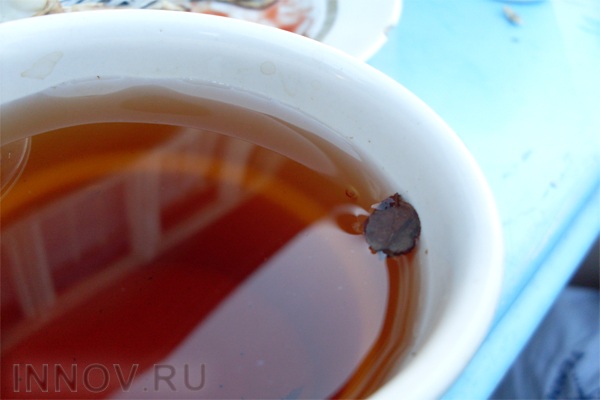 Немецкие учёные рассказали от каких заболеваний может помочь кофе