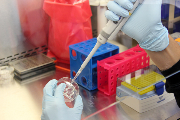 В Нижегородской области выявлено 317 новых заболевших коронавирусом, 42 пациента выздоровели, 5 умерли