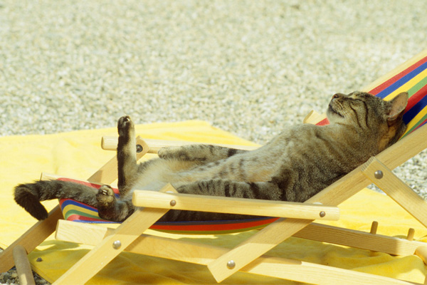 Первый летний День Города