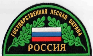 Организована прямая линия лесной охраны