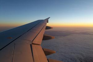 Международные авиаперевозки грузов: способы, этапы, особенности, плюсы