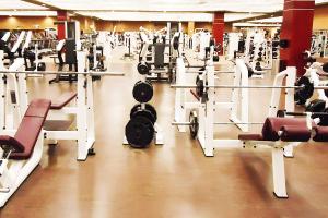 Полимерные наливные полы для спортивных залов: прочность и удобство