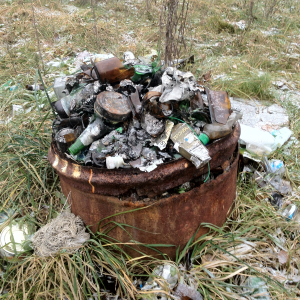 В Нижегородской области за неделю ликвидировано 11 несанкционированных свалок мусора