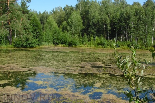 На Марсе обнаружены следы водного озера