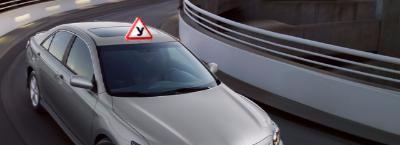 Автошколы