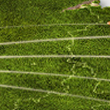 К письмам прикрепят видеомарки