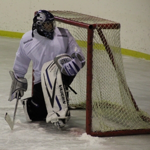 Представлен  молодежный проект создания школьных хоккейных команд в Нижегородской области