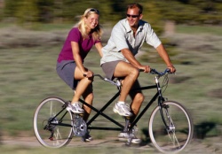 G-velo, прокат велосипедов