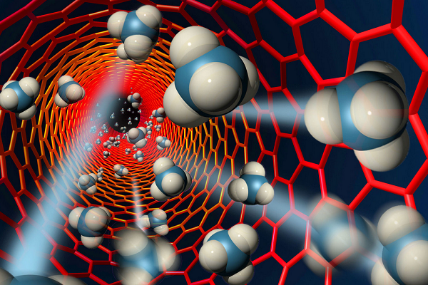 Учёные выяснили, чем человечество будет лечиться в будущем