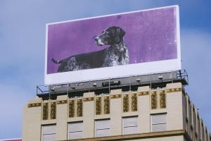 Возможности наружной рекламы: постоянная востребованность