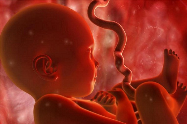 В Великобритании разрешили рожать «генномодифицированных» детей 