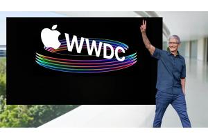 Как видеореклама помогает бизнесу масштабироваться