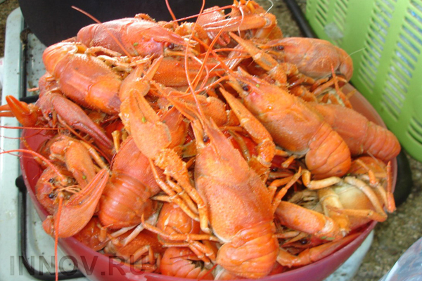 Употребление рыбы и морепродуктов способно продлить человеку жизнь