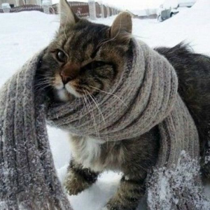 Аномальные морозы придут в Нижний Новгород на этой неделе