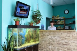 Хостел Бор