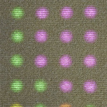 Philips выпустит светопропускающие ковры со светодиодами