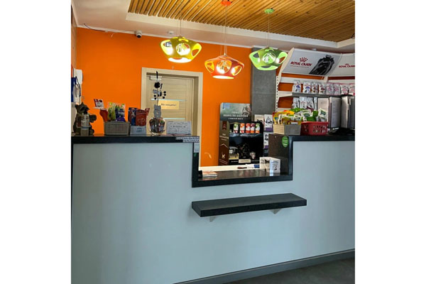 Таблетки от клещей для кошек в Воронеже: защита питомца