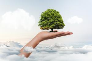 Экологическое проектирование: необходимость или прихоть?