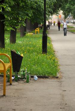 Прокуратура недовольна уборкой сквера на Звездинке
