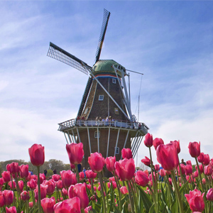 Визу в Нидерланды можно получить в Нижнем Новгороде