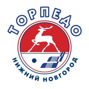 На нижегородских болельщиков "Торпедо" совершено нападение в Донецке