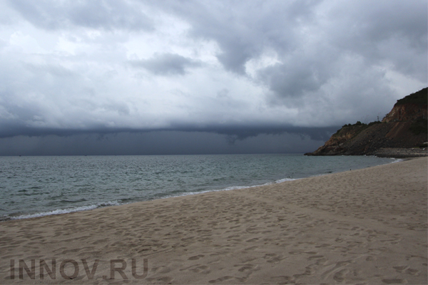 Употребление сухих водорослей полезно для сердца