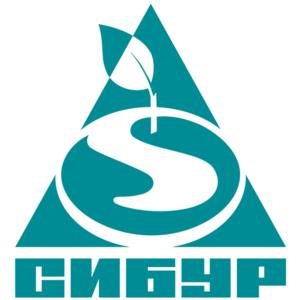 Сибур-Кстово меняет кадры 