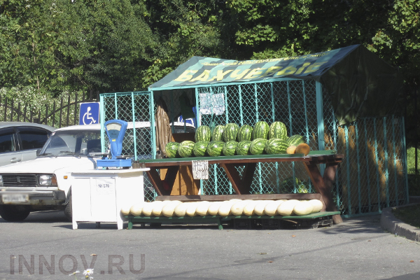 Житель Нижнего попал под следствие из-за арбуза