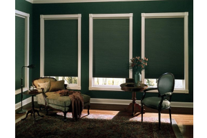 Рулонные шторы с электроприводом: особенности выбора