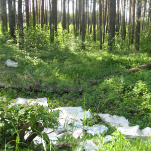 Олег Кондрашов недоволен Зеленым городом