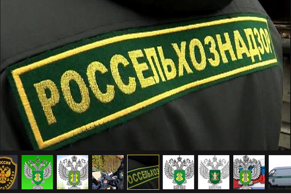 Россельхознадзор объяснил почему нельзя отдавать санкционные продукты малоимущим