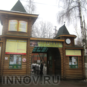 Полосатый скунс поселился в Нижнем Новгороде