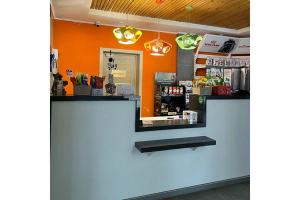 Таблетки от клещей для кошек в Воронеже: защита питомца