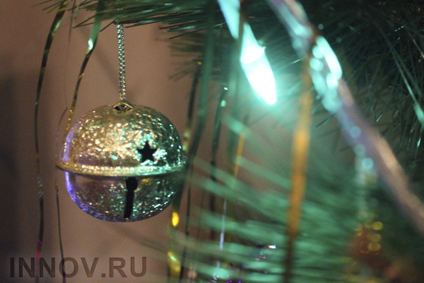 Празднуем Новый год 2016 без вреда для фигуры
