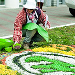 Дачные штучки со Skoda