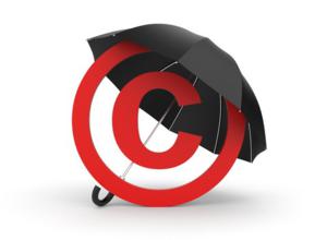 На Бору расследуют дело о нарушении авторских прав