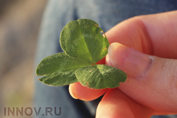 Агрокомбинат «Горьковский» инвестирует 1,1 млрд рублей в собственную модернизацию