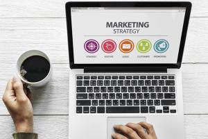 Нужно ли вообще заниматься продвижением сайтов? 