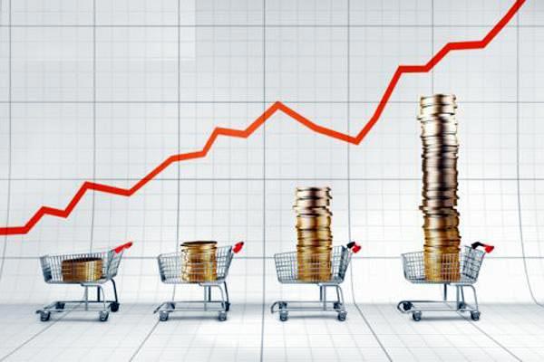 Правительство РФ не рассчитывало на столь высокий рост цен на продукты