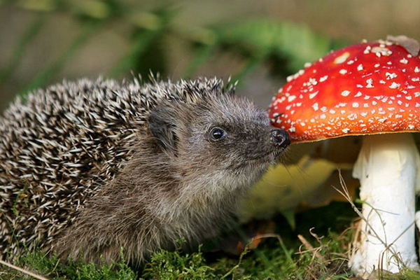 Народные приметы от INNOV: 20 мая