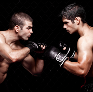     Mixed Martial Arts  23 