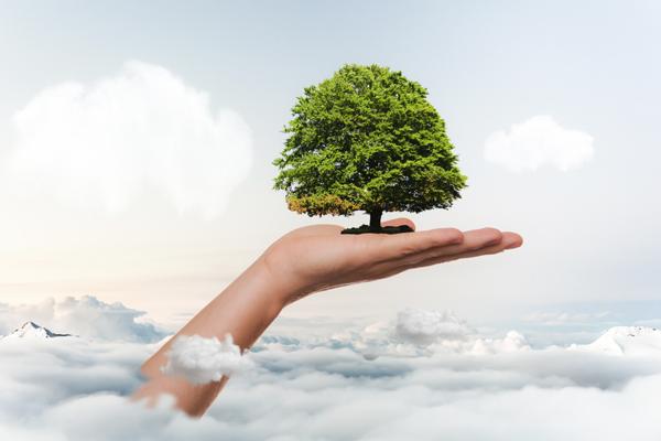 Экологическое проектирование: необходимость или прихоть?