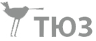 тюз