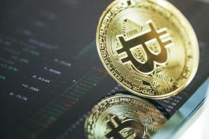 Cryptonica - .    