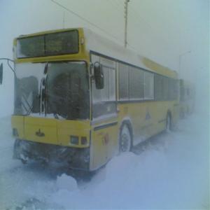 Количество автобусов в морозы увеличат