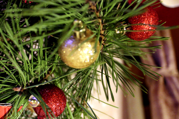 Гулять так гулять: россияне потратят на встречу Нового Года 14 000 рублей